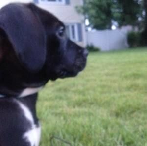 Meet your Posher, Gina